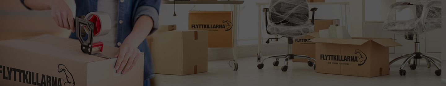 banner-right-section-img